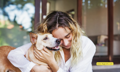 Get Peace of Mind: Exploring the Benefits of Pet Health Insurance